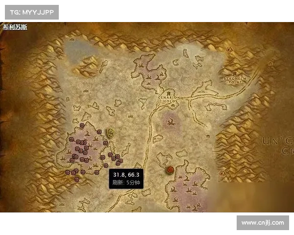 魔兽世界怀旧服：随机皮肤碎片宝箱获取攻略